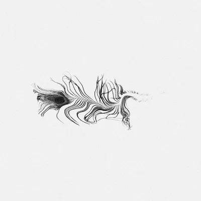 FEATHERS